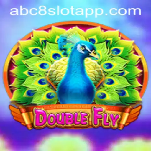 DoubleFly: A Thrilling Adventure in the Sky